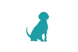 犬猫驱虫攻略图片