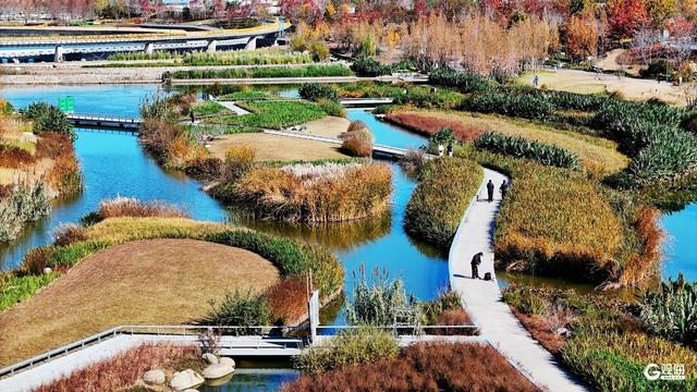 青岛人家门口的“生态园”：一河秋景，满园生机