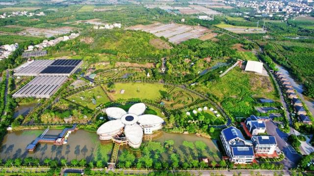 赏花撸萌宠、水果采摘、围炉煮茶……来珠海这里跨年，太精彩！