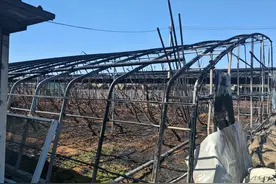 违规切割作业引燃大棚，北京顺义一男子被行政拘留图片