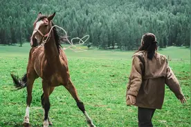 白玉兰绽放｜电视剧 《我的阿勒泰》获得最佳摄影奖图片