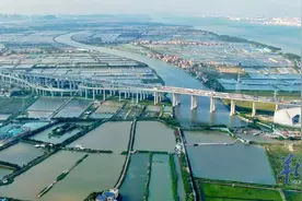 古邑水乡文化根脉犹存，渔港启航谱写发展新篇｜番禺文脉图片