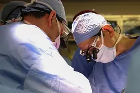 世界首例！美国医生将基因编辑的猪肾移植到活人体内图片