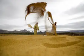 它是“食物黄金”！健脾、养胃、助眠......这样吃更有营养图片