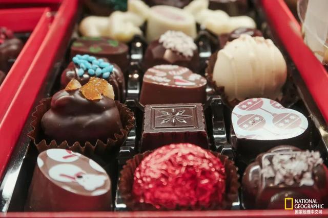 地球两端的“镜像之城”：一座最北一座最南，惊人相似