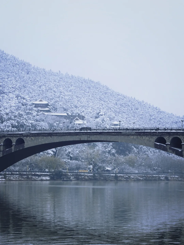 年假清零，总要留几天给洛阳