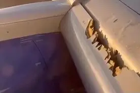 乘客发现飞机机翼在半空中裂开 飞机被迫紧急降落图片