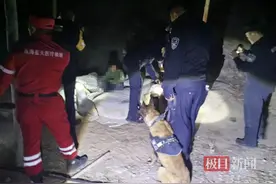 搜救犬、无人机齐上阵，小男孩失联1天1夜后在树林被找到，母亲：玩得太晚不敢回，今天已上学图片