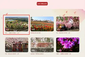 跟着文旅部的推荐，赏一路繁花逛芬芳顺义图片