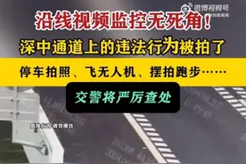快评丨深中通道露营摆拍？高速公路不是任性妄为的“秀场”图片