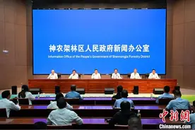 中国特有濒危物种神农架金丝猴种群数量稳步增加图片