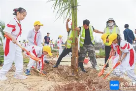 海南多地开展义务植树活动 共建美丽家园图片