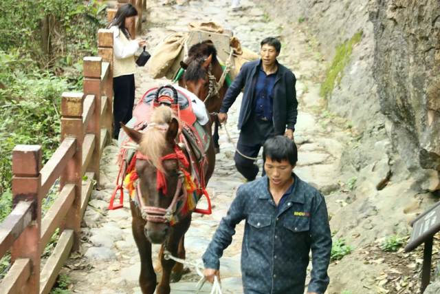 盐津：千年古道涌动欢乐潮 多彩活动“点燃”游客激情