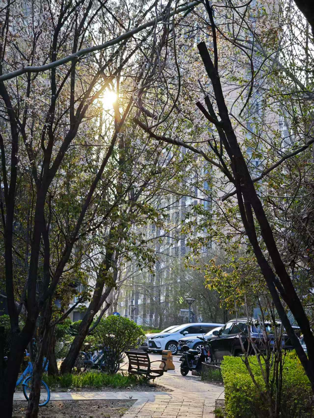 三月的最后一天，绮丽日落温柔收尾