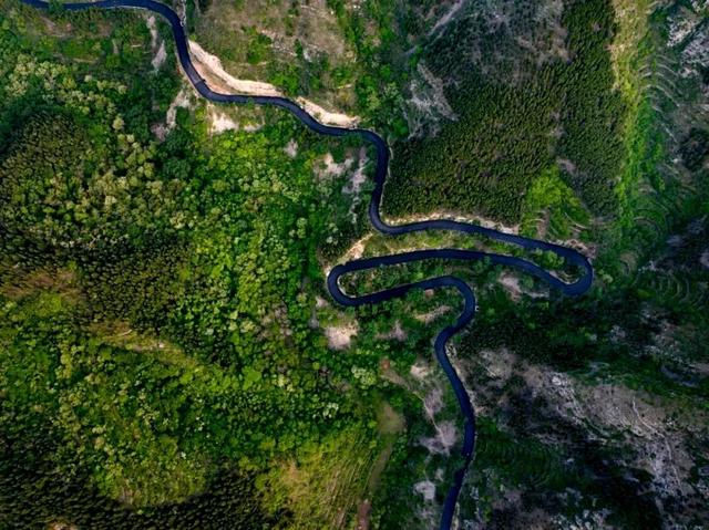 明确了！淄博的春天这样玩，过瘾