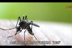 今日科普｜蚊子没有具有区分血型的能力，但它为何总“叮”你？图片