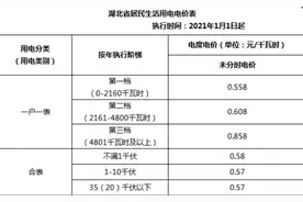 多地辟谣不涨价！国内居民电价都是如何制定的？图片