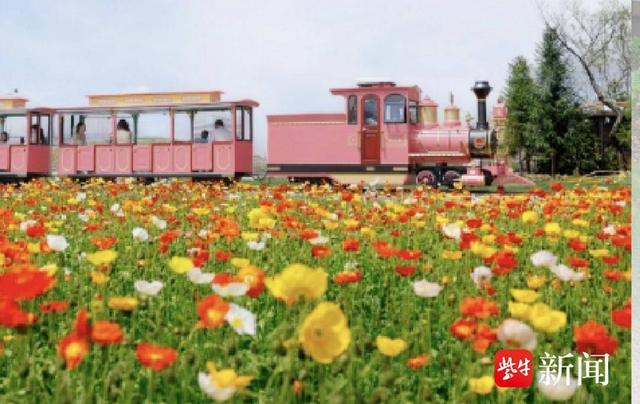 苏州吴中郭巷街道：从书香满巷到花影艺韵，品味一站式文旅盛宴