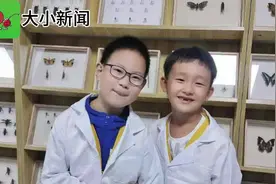 【小记者游学记】了不起的昆虫——蚕图片
