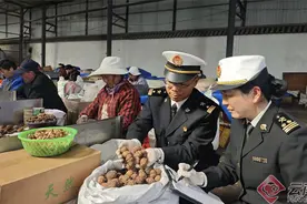 云南昌宁细香核桃实现首次出口图片