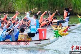 “龙的传人”赛龙舟 第十三届上海世界华人龙舟邀请赛举行图片