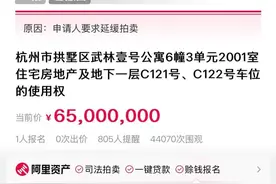 身价8000万的武林壹号法拍房突遭撤拍！背后有何隐情？图片