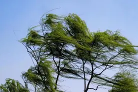 延庆多部门联动应对大风天气——图片