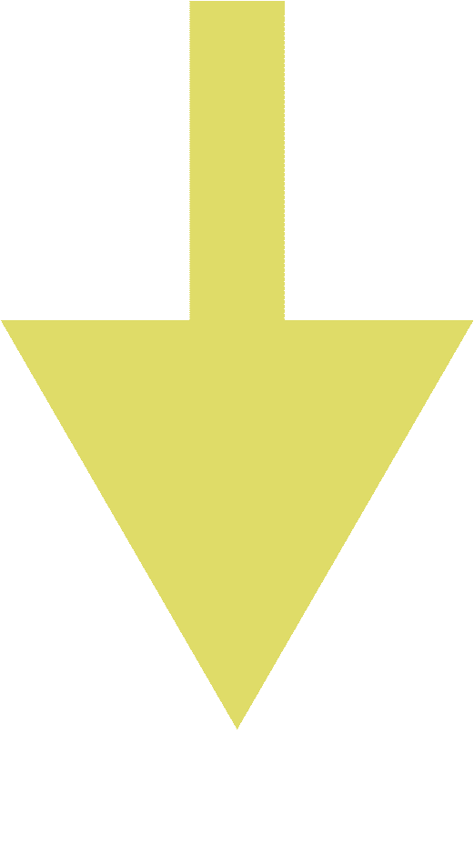 施普林格·自然首席出版官哈什·杰加迪桑博士一行访问我中心