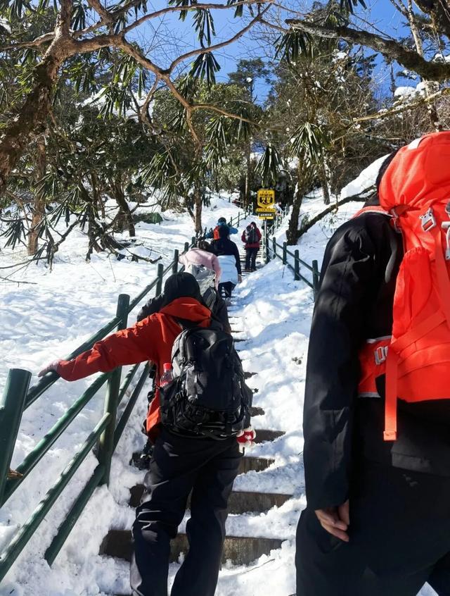 重磅！2025第八届瓦屋山冰雪嘉年华已经开启，即将解锁更多冬日新玩法！