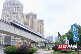 组图 | 如愿 如初 如常 ！风雨过后，㮾梨小美好依旧图片