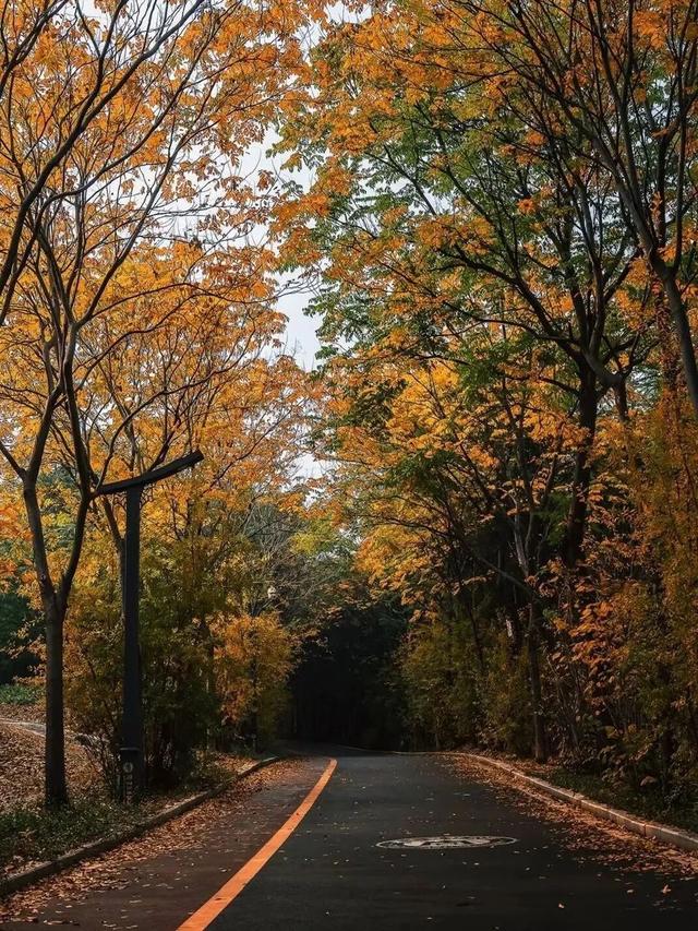 听劝，冬天在洛阳，就要这么玩！