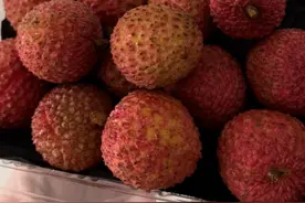 桂味荔枝今年变“贵”味？消费者：破防，一颗2.3元图片