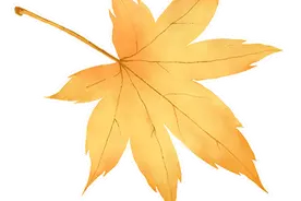 通过你，瞰八闽！好看又好听的福建文艺征集作品第二波来了图片