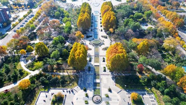 快看，永城限定美景正当时