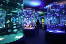 高质量发展调研行丨江西九江：走进长江鄱阳湖水生生物保护中心图片