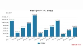 “国产英伟达”分道扬镳图片