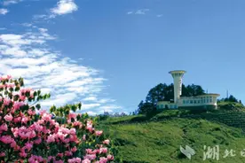 1元！游遍神农架8大景区图片