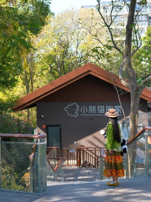 欢迎来到熊猫的家！保姆级攻略请收好！