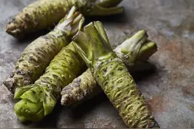 有一种辣叫芥末图片