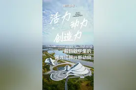 神州答卷｜活力、动力、创造力——解码数字里的黑龙江振兴新动向图片
