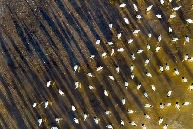 心动吗?这些冬日美景错过了就要再等一年!