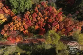 透视全会看亮点|吉线秘境G331 藏着这样一条“黄金线”图片