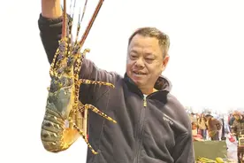 厦门年夜饭餐桌“含龙量”拉满，谁是龙年新宠？图片