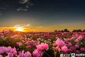 五一游菏泽！这么玩1000%快乐加倍！图片