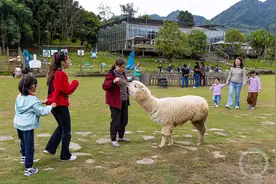 巴南：五一假期人气旺图片