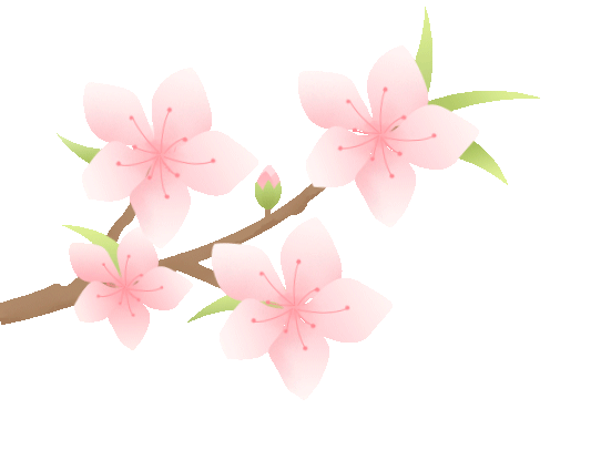 柘荣：油菜花开春意浓 乡村振兴绘新景图片