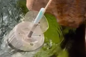 果然视频｜大爷巧妙取水，泰安有这种打水神器吗？图片