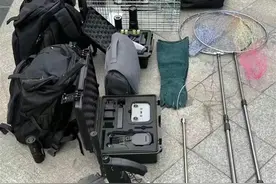 丢猫丢狗催生“宠物侦探”，专家提醒：寻宠前先签协议图片