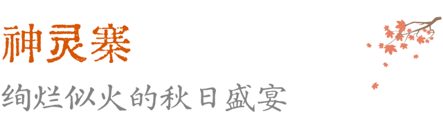 待天晴，看洛阳漫山姹紫嫣红→