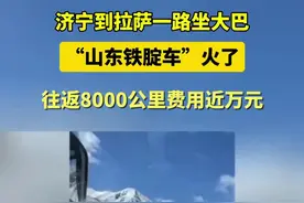 济宁到拉萨一路坐大巴， “山东铁腚车”火了，往返8000公里费用近万元图片